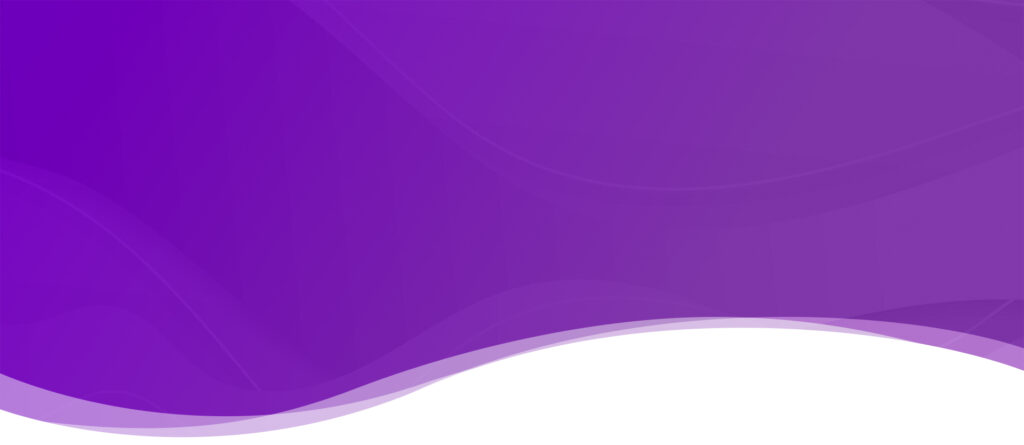 Build Premium Ecommerce